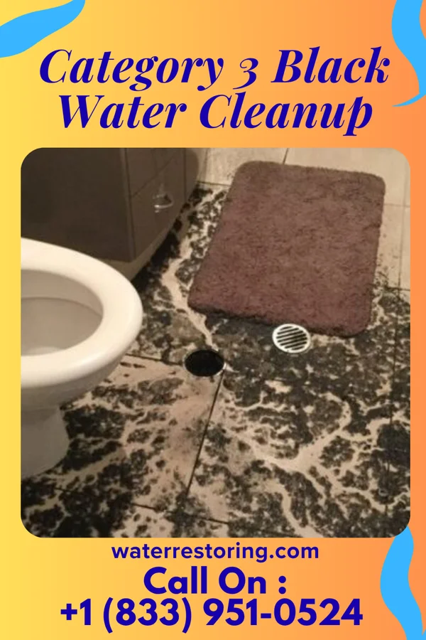 Category 3 Black Water Cleanup in McClelland, IA