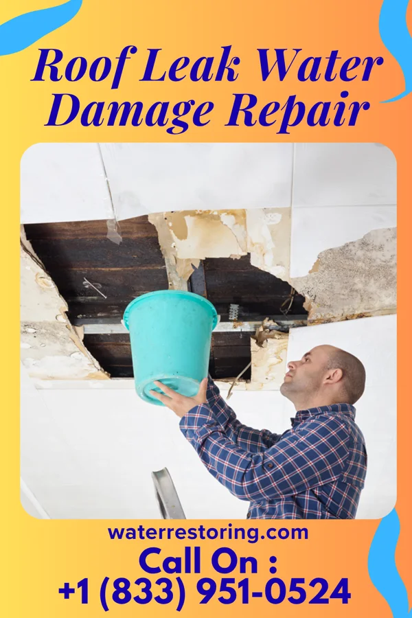 Roof Leak Water Damage Repair in McClelland, IA