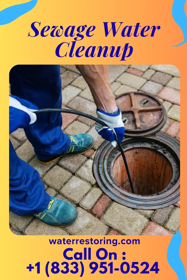 Sewage Water Cleanup in McClelland, IA
